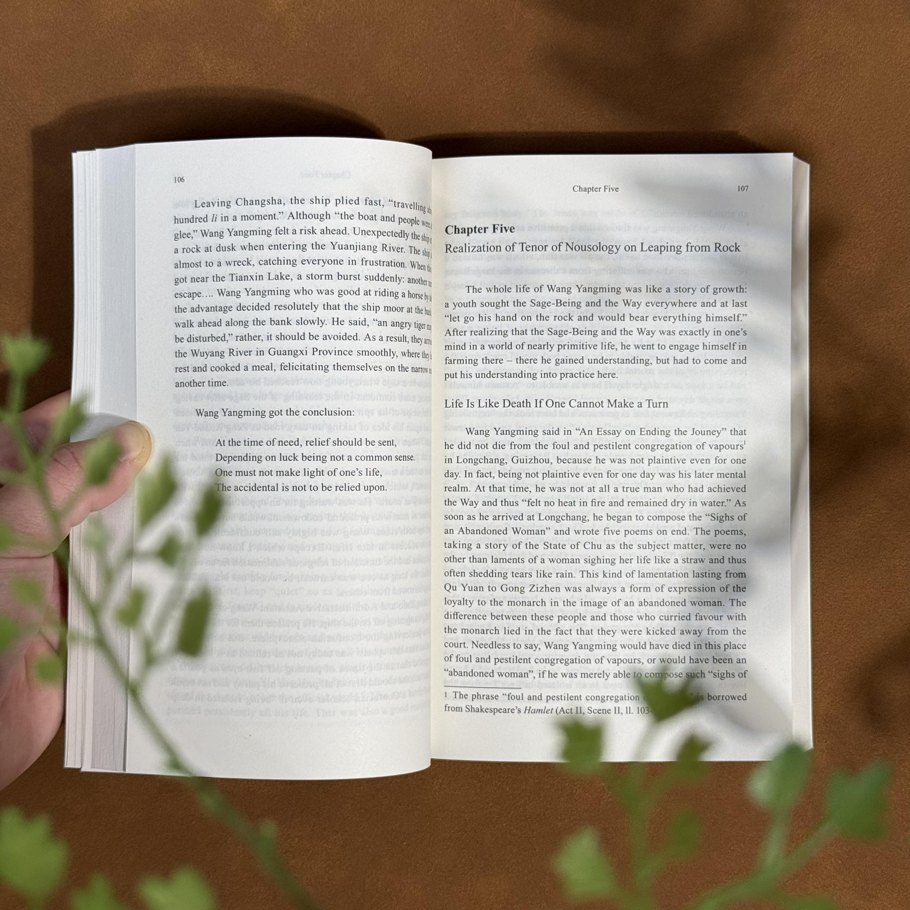 Wang Yangming: Life and Noosology – Paperback & eBook